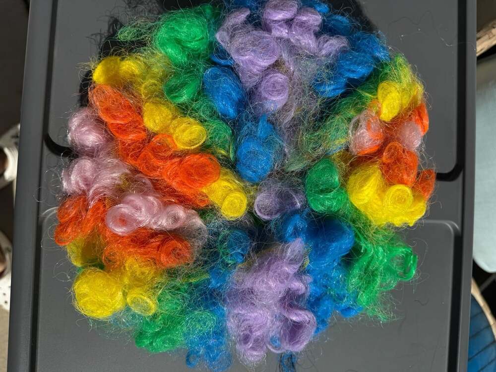 Rainbow Clown Wig Curly Colorful Costume Afro Halloween